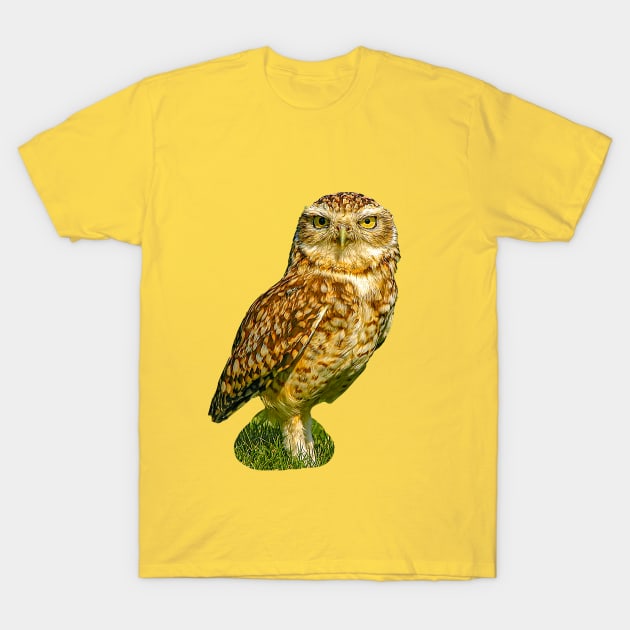 Cute Burrowing Owl T-Shirt by dalyndigaital2@gmail.com